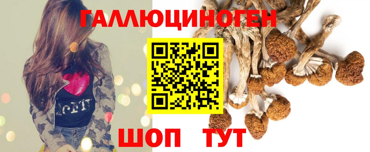 Королёв  Псилоцибиновые грибы мицелий  Вход с VPN  Галлюциногенные грибы Cubensis 
